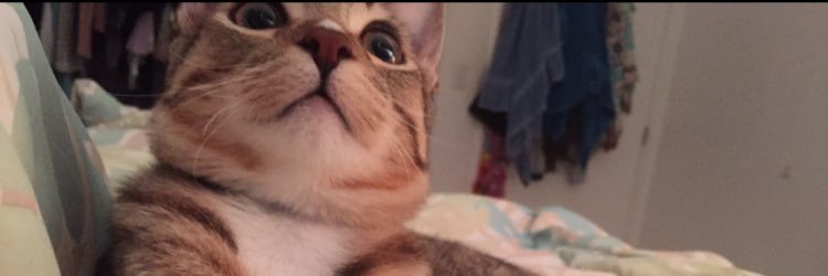 jphippster's profile banner image