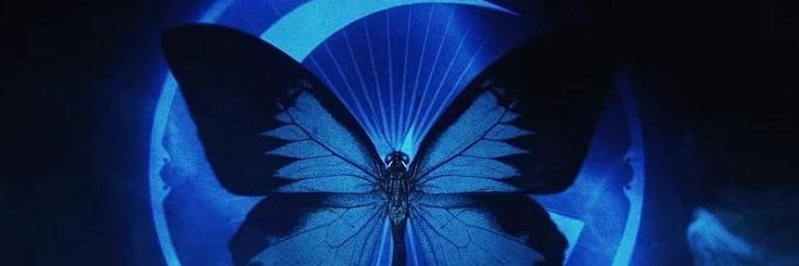 🦋ℜ𝔬𝔪𝔬 ℜ𝔞𝔳𝔦𝔬𝔩𝔦🦋 banner