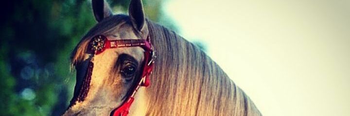nkm9090's profile banner image
