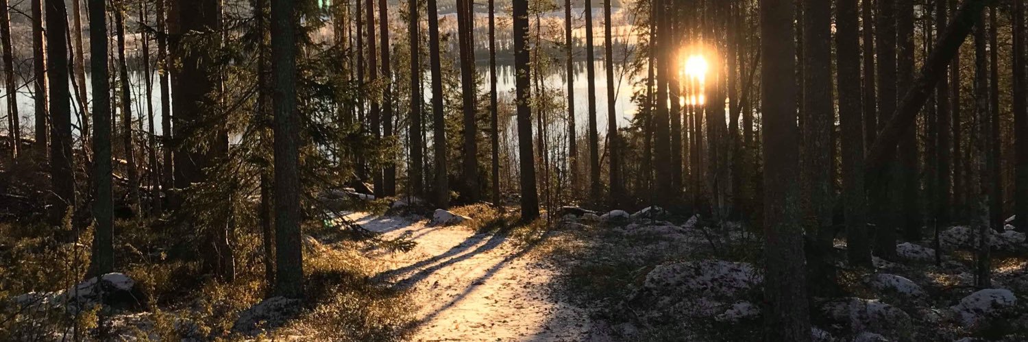 JesperForsbergg's profile banner image