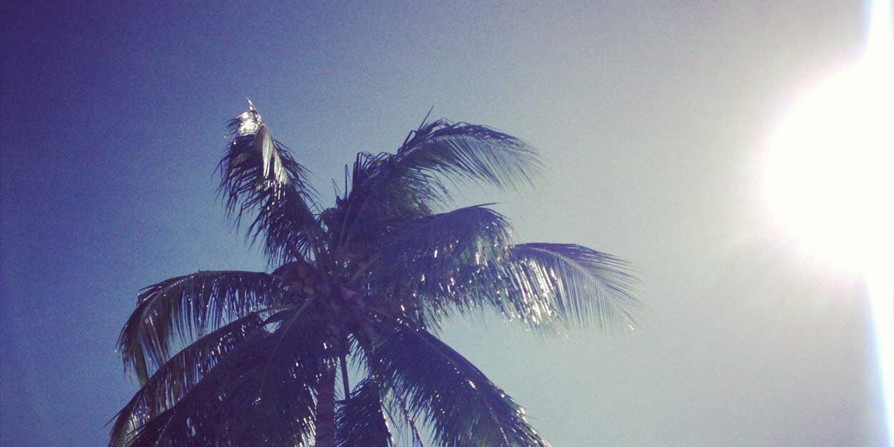 My_WhiteTee's profile banner image