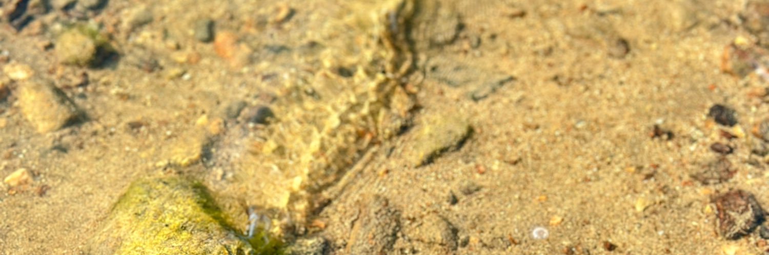 timbookta's profile banner image