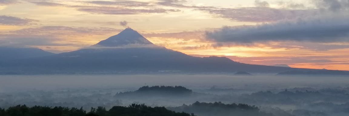 iniinalho's profile banner image