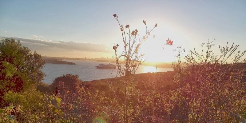 vlynxj's profile banner image