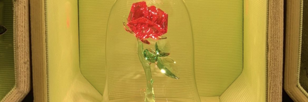 red_rose731's profile banner image