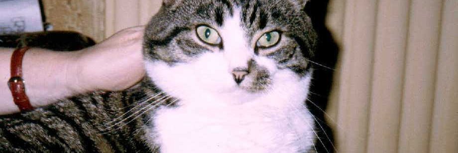ccazalet's profile banner image