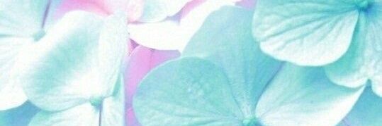 Melllimm's profile banner image