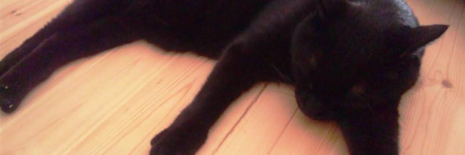 tomoykuro's profile banner image