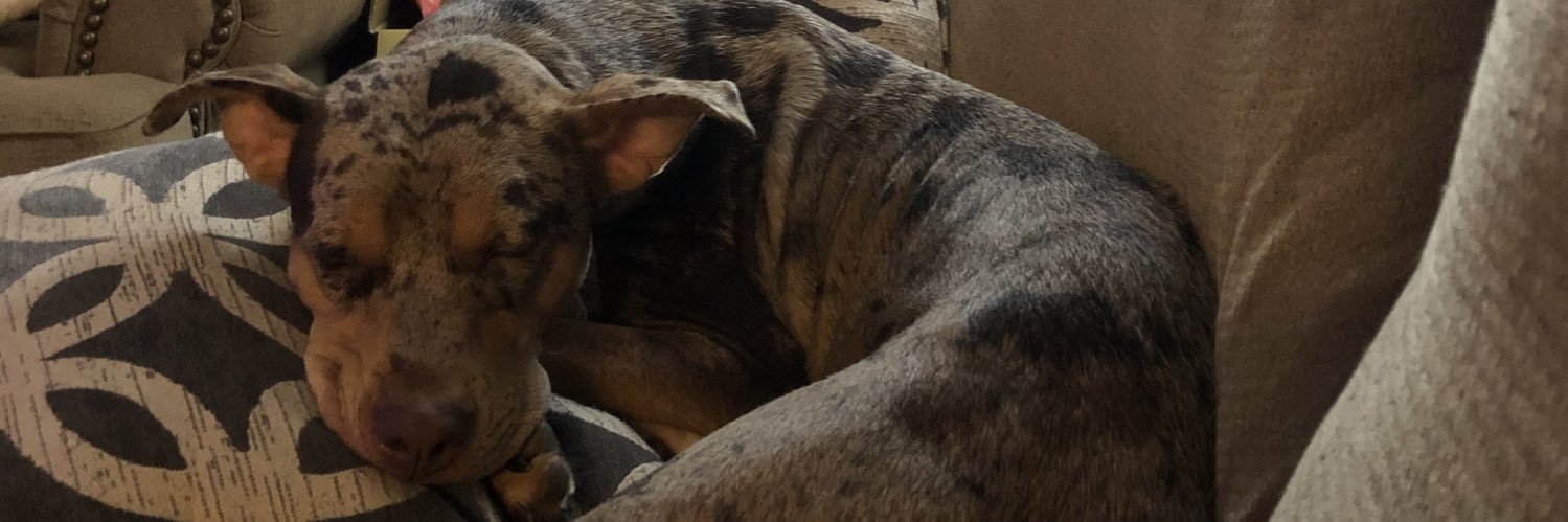 lexiekunzelmann's profile banner image