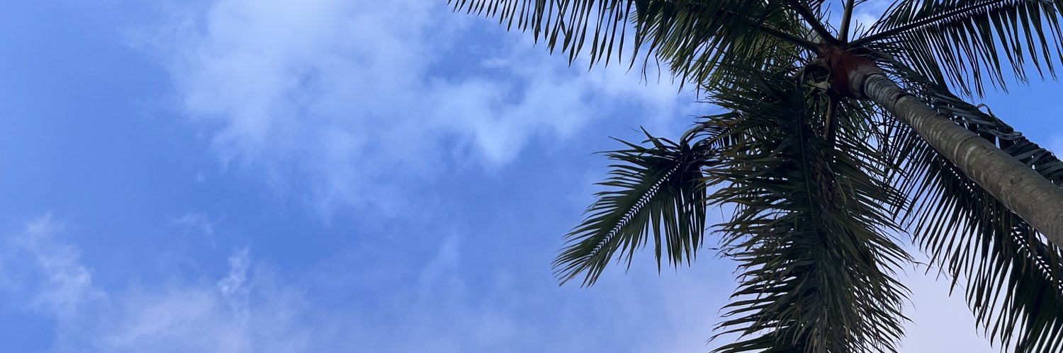 nordesdiva's profile banner image