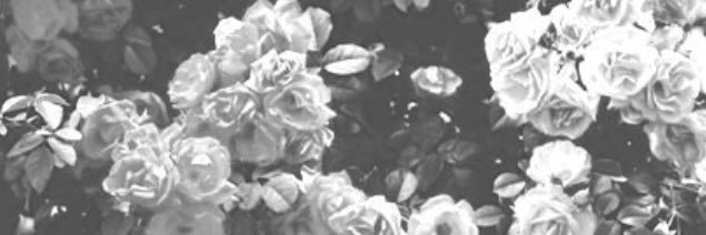 aaaytlu's profile banner image