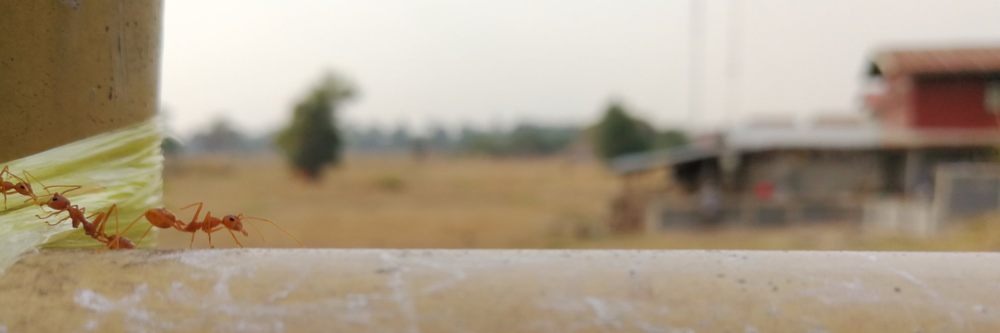 voodyneo's profile banner image