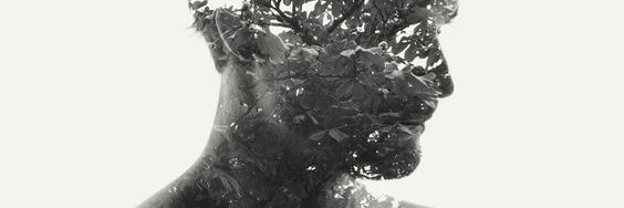 laotze72's profile banner image
