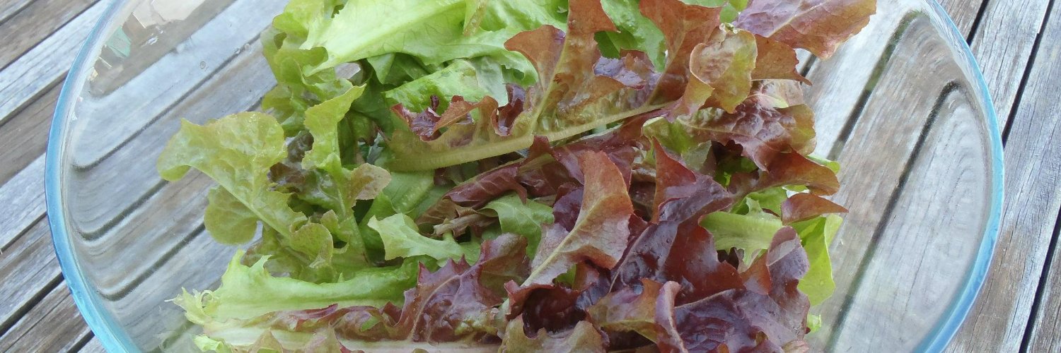 HydroMicroFarms's profile banner image