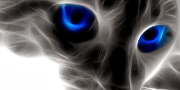 elia_gentedulce's profile banner image