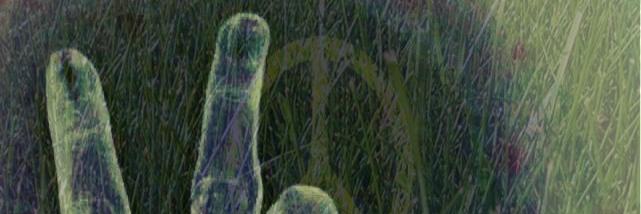 ARS_Dila's profile banner image