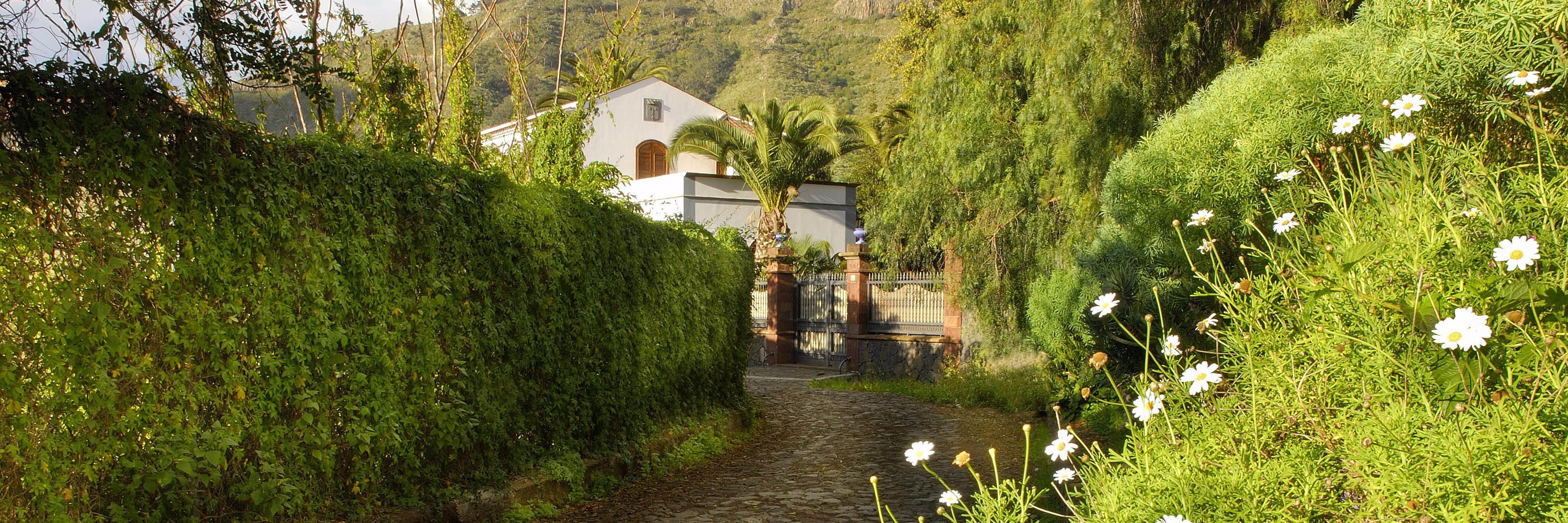 TurismoTegueste's profile banner image