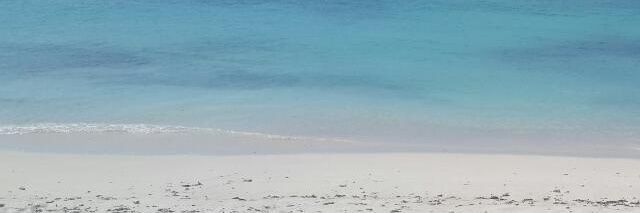 agy_V's profile banner image