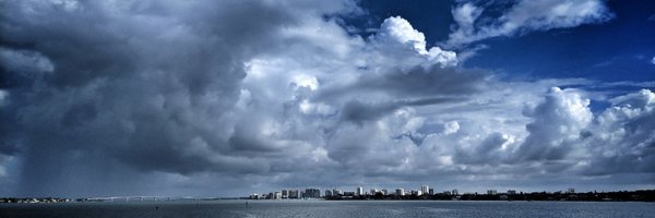 fortes Profile Banner