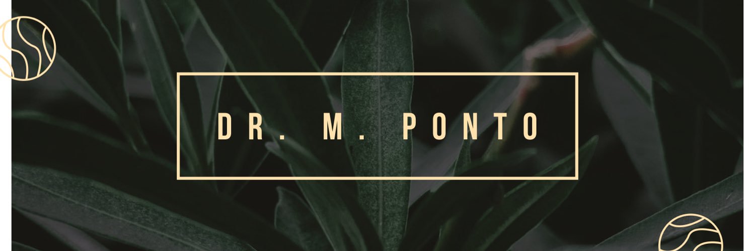 MomoPonto's profile banner image