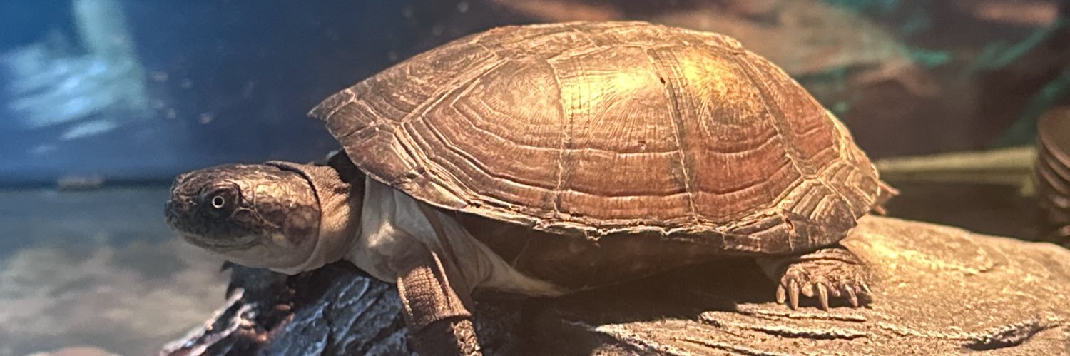 Tyrell Jenkins banner