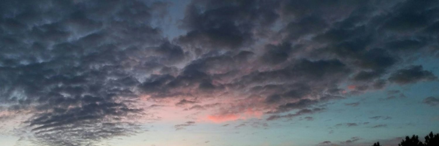 rclaura_'s profile banner image