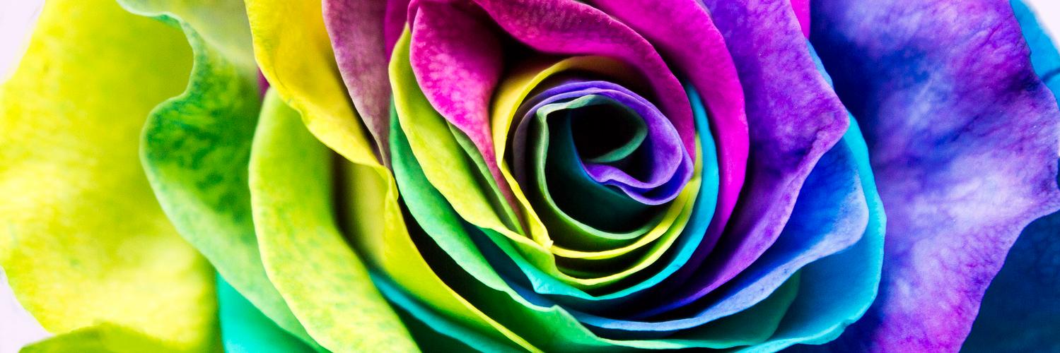 TheImageAngelUK's profile banner image