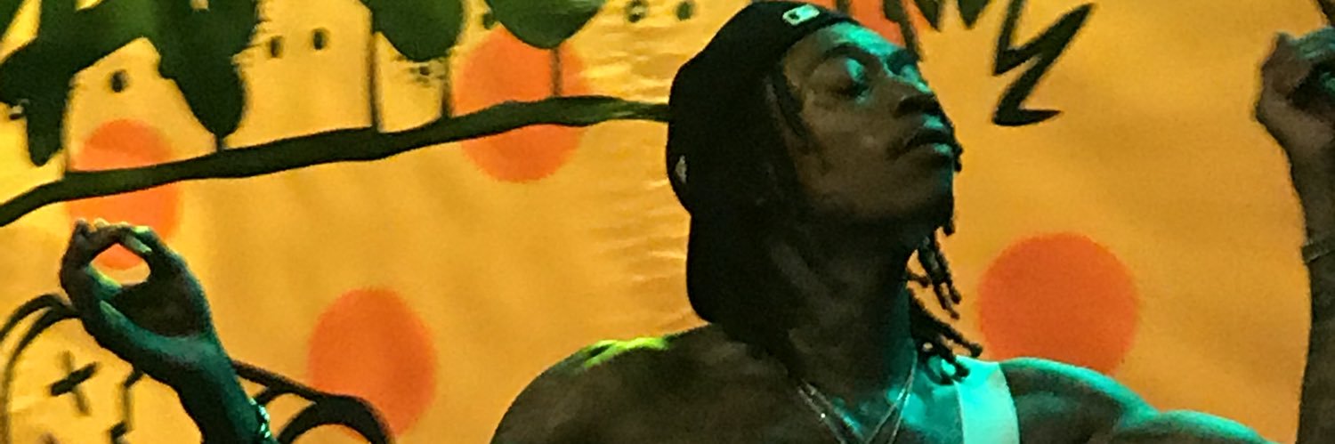 FaisantElla's profile banner image