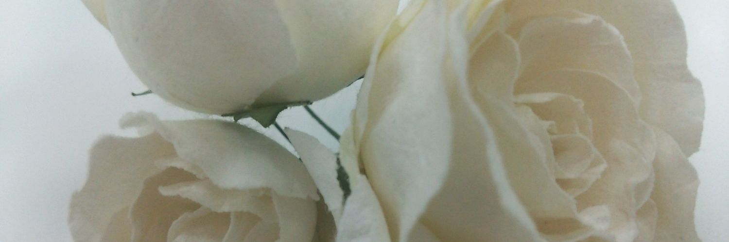 unerigumo's profile banner image
