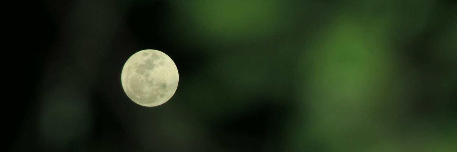 Sunasama's profile banner image