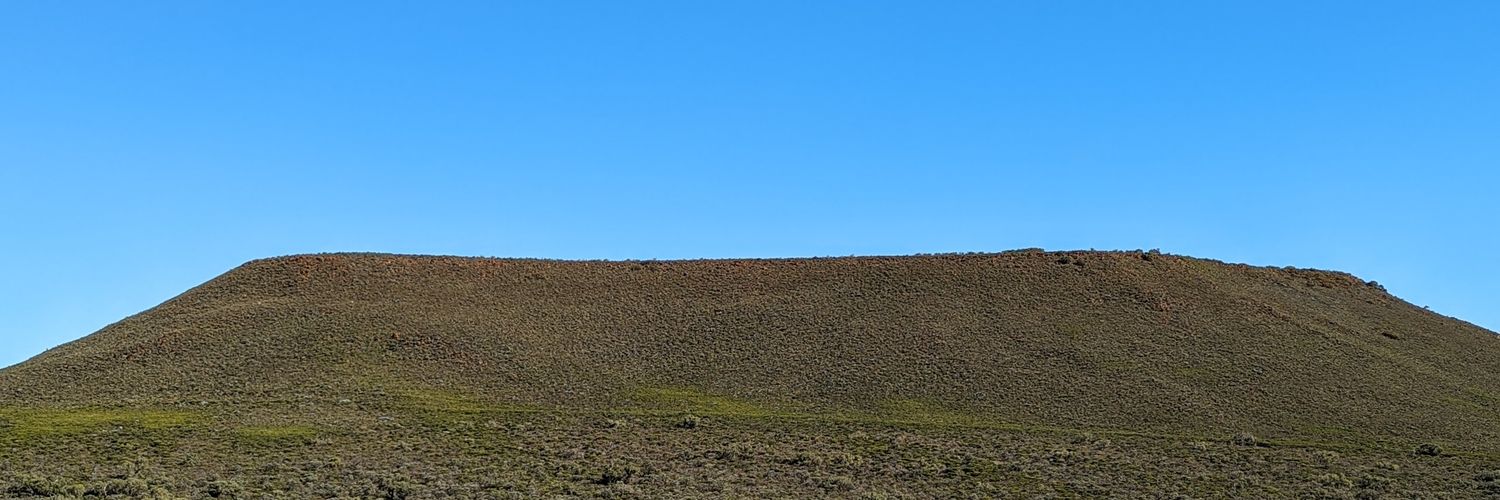 Bobby McGee banner