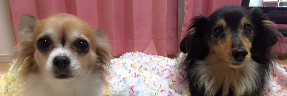 Reinaaaaaa_c's profile banner image