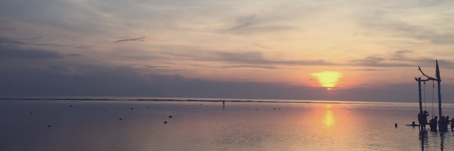david_spouse's profile banner image