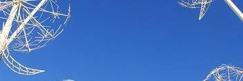 Sharon Rees-Williams banner