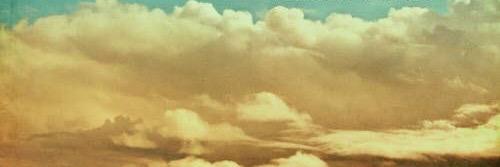 Inacia Bothma banner