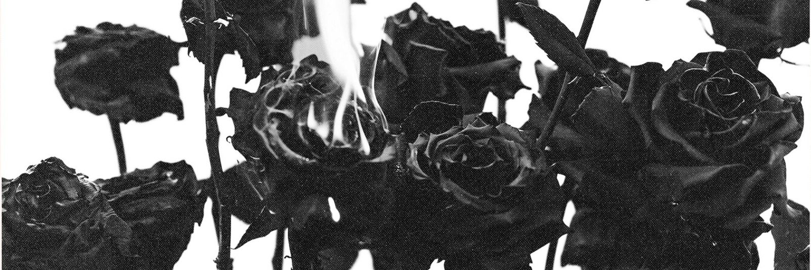 beaprisa's profile banner image