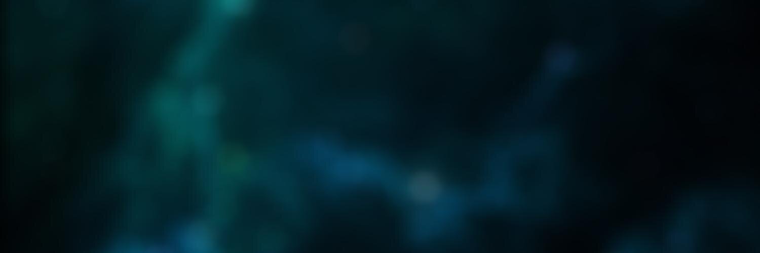 Raffaele Rasini banner