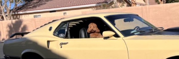 pancychain Profile Banner