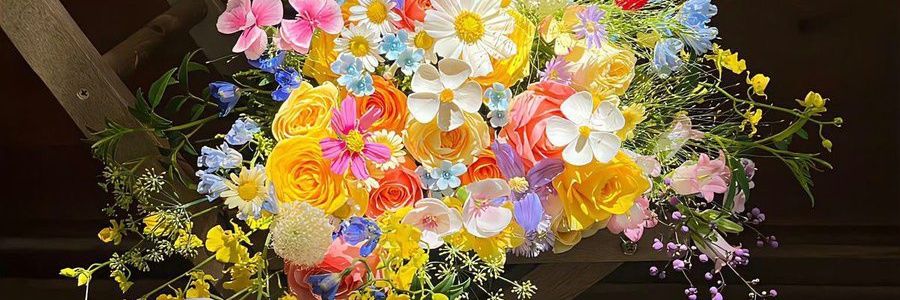 Linaasyam's profile banner image