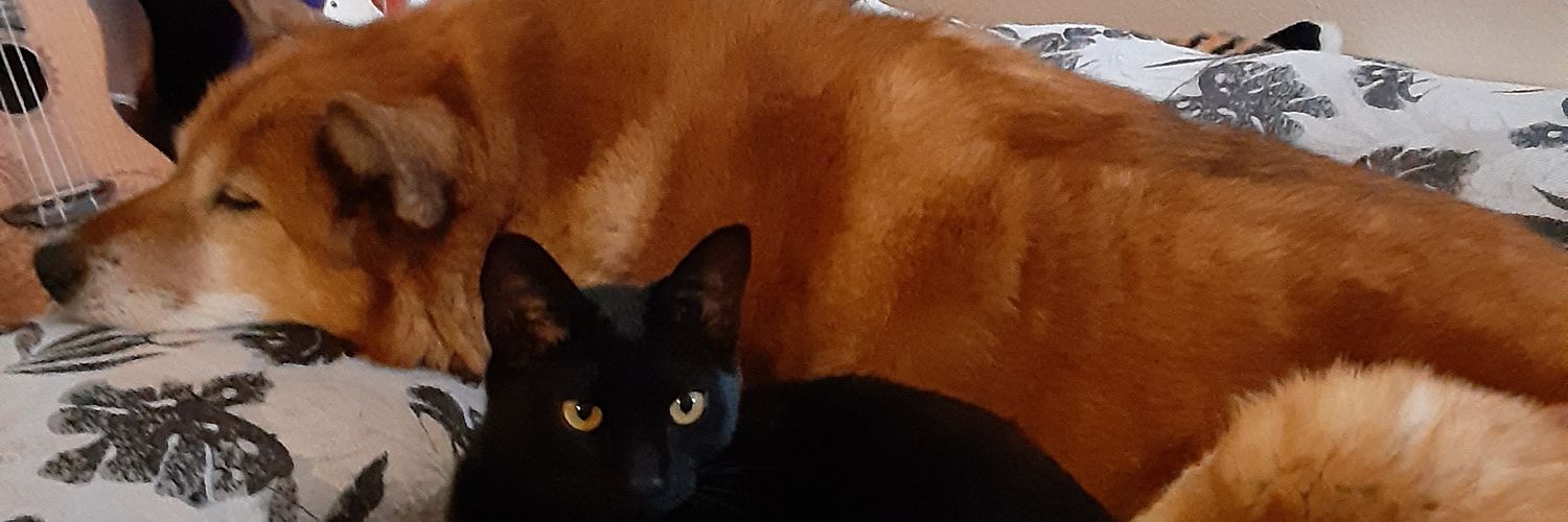 Tannerprentice's profile banner image