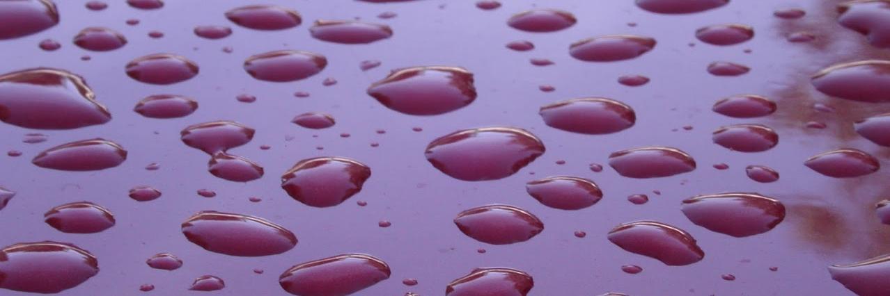 Malcolm Young banner