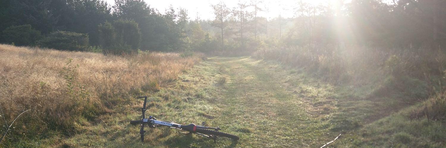 Jónas Thor Björnsson banner