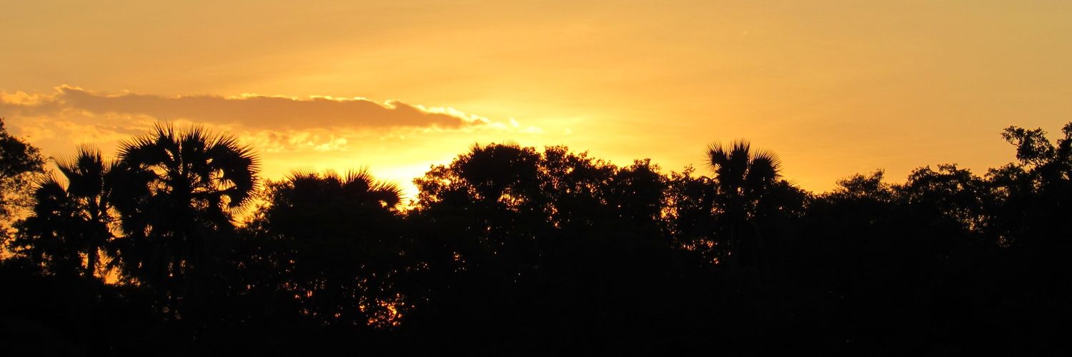 simplystooge's profile banner image