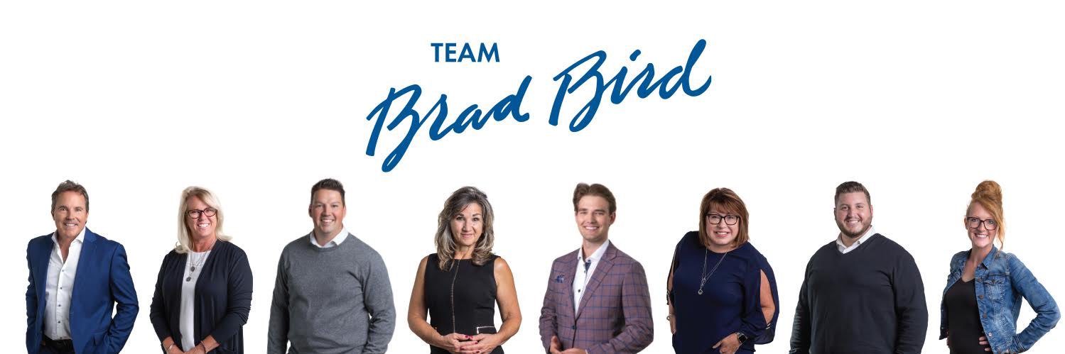 TeamBradBird's profile banner image