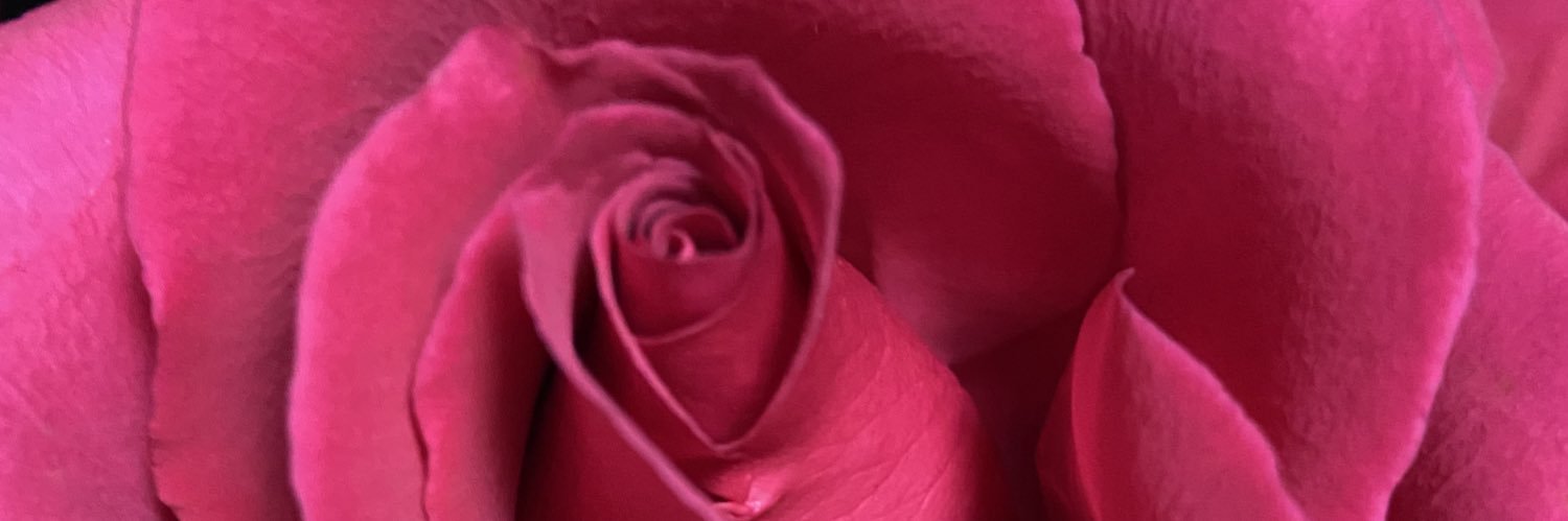 Gracegonewild1's profile banner image