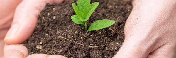 ASAPItalia Profile Banner