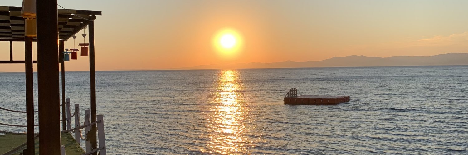 taransayhan's profile banner image