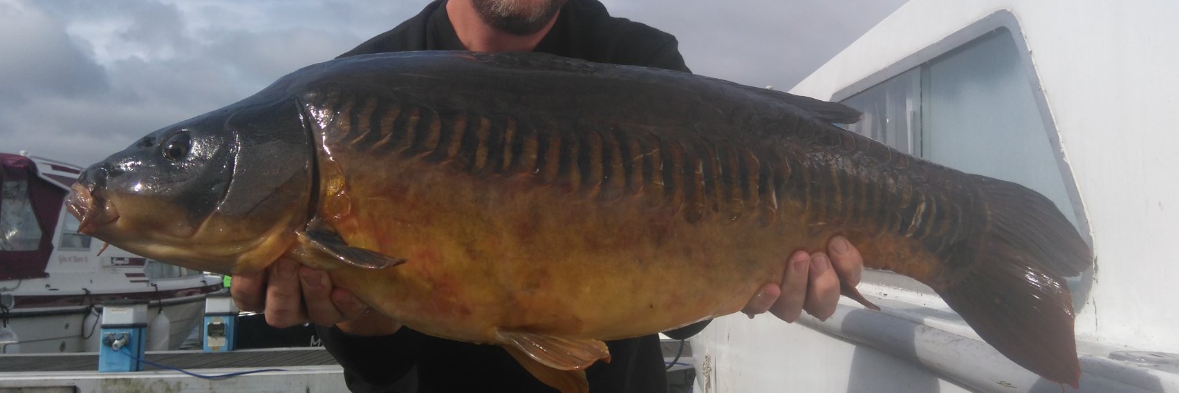 Sense//Fathom Audio banner