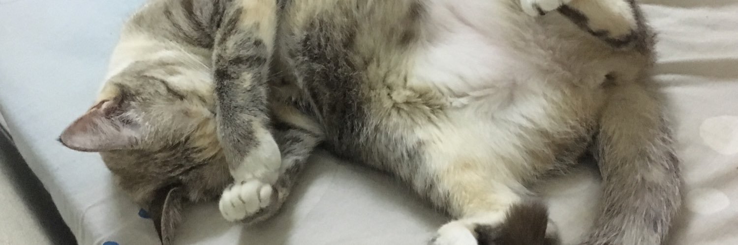 ogbigdaddyy's profile banner image