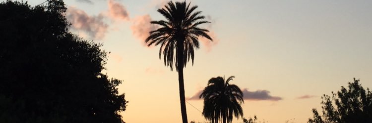DonosooLaura's profile banner image